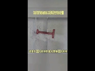 螞蟻不但具有生命還具有思考與解決問題能力！