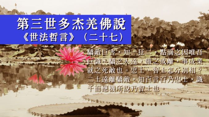 華藏學佛苑-驕敵巨害與忠智之辨(一介學人)