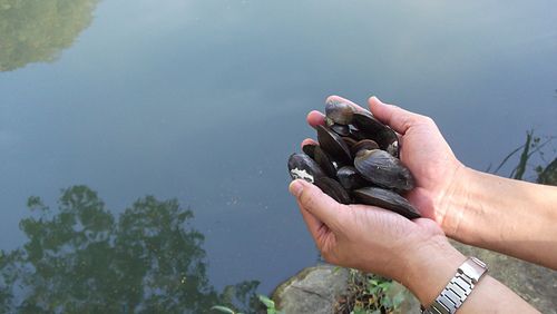 家人再生氣也要把牠們放了(孫亞東)