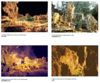 Landscaping2.jpg Landscaping2.jpg