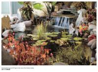 Landscaping1.jpg Landscaping1.jpg