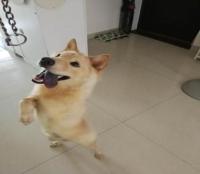 Happinesscanbeverysimplebutwhereistherealhappiness1.jpg Happinesscanbeverysimplebutwhereistherealhappiness1.jpg