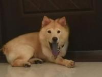 Happinesscanbeverysimplebutwhereistherealhappiness2.jpg Happinesscanbeverysimplebutwhereistherealhappiness2.jpg