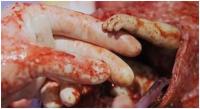 Fromtheuterusoutofthehopeofthehand1.jpg Fromtheuterusoutofthehopeofthehand1.jpg