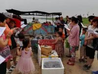 DragonBoatFestivalBuddhadisciplessadtosavethecommonpeopleintothemudtosavethefishrelease(11).jpg DragonBoatFestivalBuddhadisciplessadtosavethecommonpeopleintothemudtosavethefishrelease(11).jpg