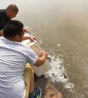 DragonBoatFestivalBuddhadisciplessadtosavethecommonpeopleintothemudtosavethefishrelease(15).jpg DragonBoatFestivalBuddhadisciplessadtosavethecommonpeopleintothemudtosavethefishrelease(15).jpg