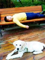 FamousdogssufferingfromcaninedistressdyingbeautymasterBuddhabeforethewishtheresultscametothedoctor(5).jpg FamousdogssufferingfromcaninedistressdyingbeautymasterBuddhabeforethewishtheresultscametothedoctor(5).jpg