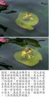 WashBuddhaceremony6.jpg