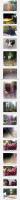 VisitorsBodhisattvasnatureanimalshungryghostscreatures.jpg