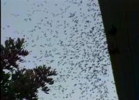 OnemillionthreemonthsagofromWasps.jpg OnemillionthreemonthsagofromWasps.jpg