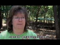 Righteousgoat(movie).jpg Righteousgoat(movie).jpg