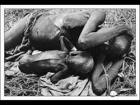 FamineinAfrica(movie).jpg FamineinAfrica(movie).jpg