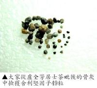 LuChiuanFang.jpg