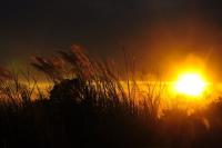light-101.jpg light-101.jpg