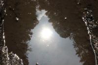 light-102.jpg light-102.jpg