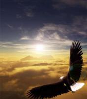 light-104.jpg light-104.jpg