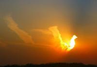 light-105.jpg light-105.jpg