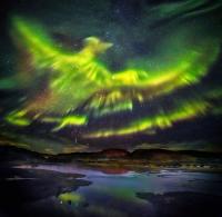 light-106.jpg light-106.jpg