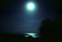 light-159.jpg light-159.jpg