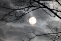 light-164.jpg light-164.jpg