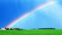 light-197.jpg light-197.jpg