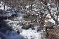 water-102.jpg water-102.jpg