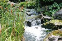 water-106.jpg water-106.jpg