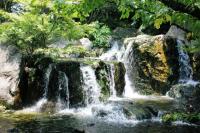 water-113.jpg water-113.jpg