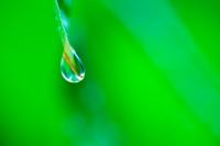 water-115.jpg water-115.jpg