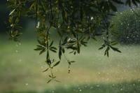 water-121.jpg water-121.jpg