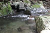 water-014.jpg water-014.jpg