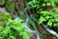 water-020.jpg water-020.jpg