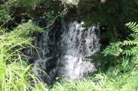 water-032.jpg water-032.jpg