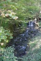 water-057.jpg water-057.jpg