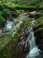 water-067.jpg water-067.jpg