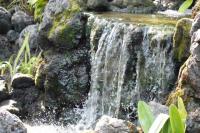 water-069.jpg water-069.jpg