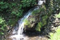water-070.jpg water-070.jpg