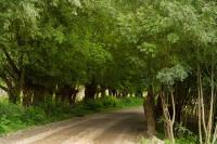 road-105.jpg