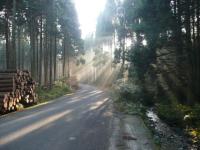 road-140.jpg