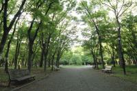 road-051.jpg