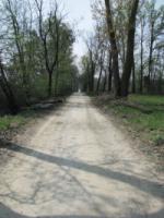 road-056.jpg