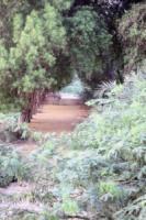 road-064.jpg
