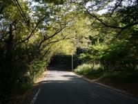 road-068.jpg