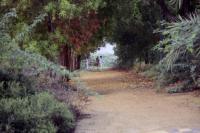 road-073.jpg