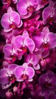 plant-160.jpg plant-160.jpg