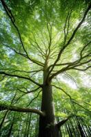 plant-169.jpg plant-169.jpg