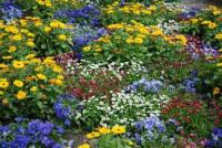 plant-318.jpg plant-318.jpg