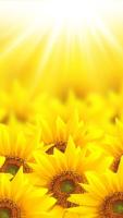 plant-047.jpg plant-047.jpg