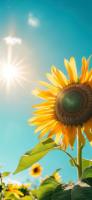 plant-050.jpg plant-050.jpg