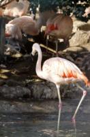 animal-019.jpg animal-019.jpg